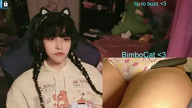 BimboCat webcam