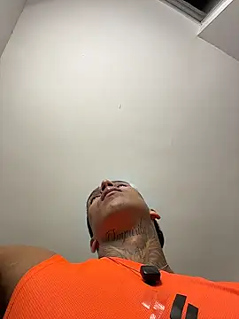 sendfer webcam