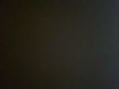 TheDime webcam