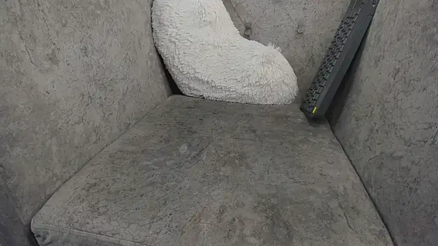 ElaRabbit webcam