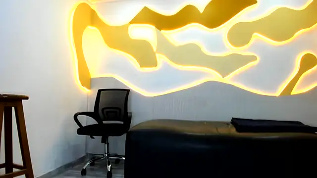 Hollmanhot webcam