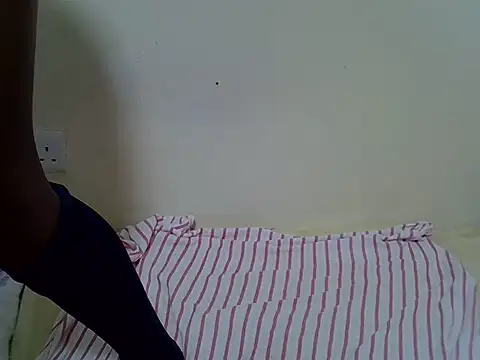 Twerl webcam