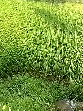 Hily_wet webcam