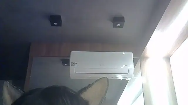 SkinnyKitten webcam