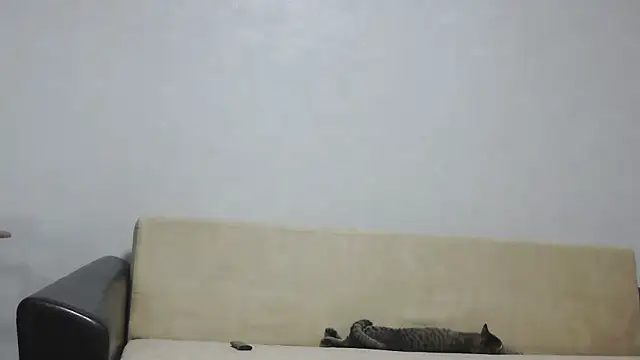 aylinblushing webcam