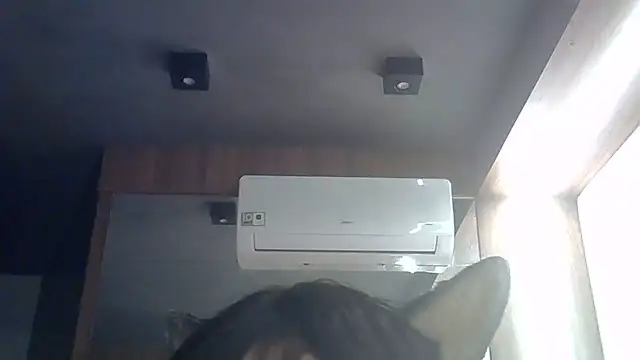 SkinnyKitten webcam