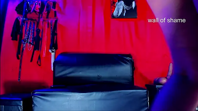 ArtemisaStone webcam