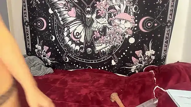 ari_kat webcam