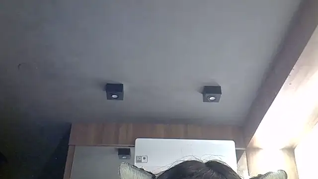 SkinnyKitten webcam