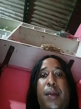 Hellentrans24 webcam