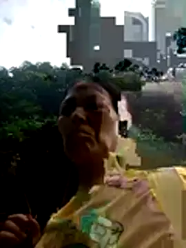toyo_668 webcam
