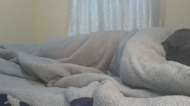 ndivhuwomuleya webcam