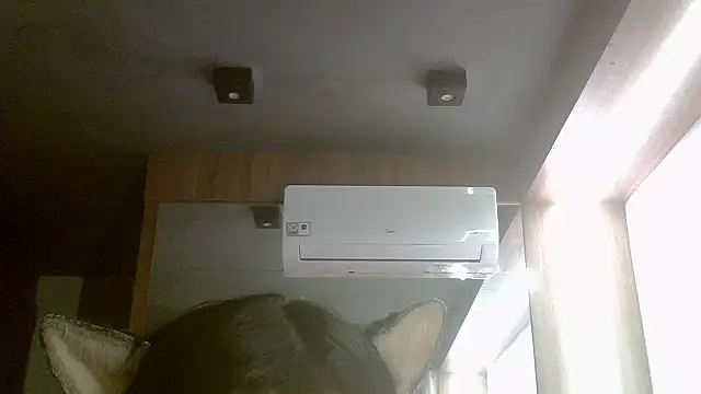 SkinnyKitten webcam