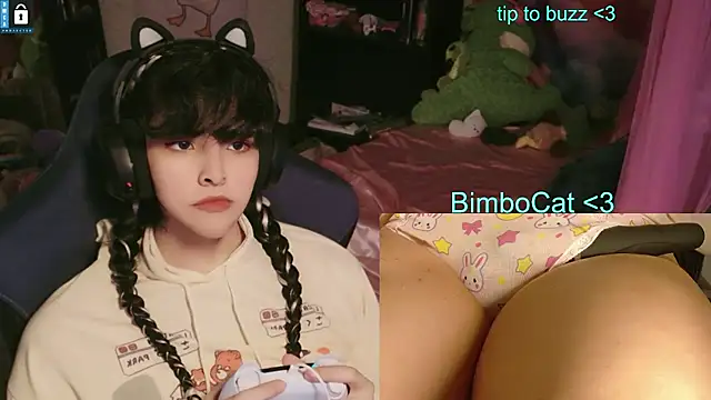 BimboCat webcam
