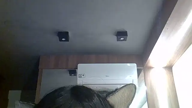 SkinnyKitten webcam