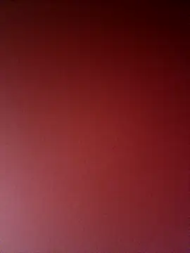 wadmma webcam