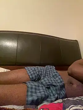 ThickDic28 webcam