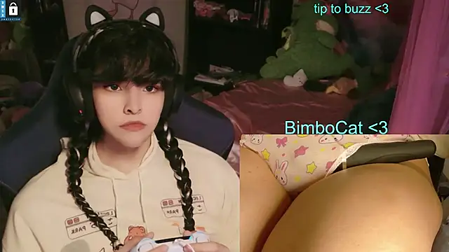 BimboCat webcam