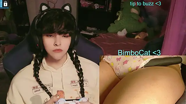 BimboCat webcam