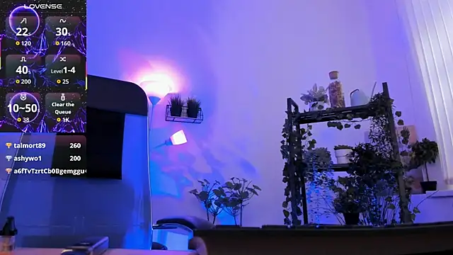 Elainebeness webcam