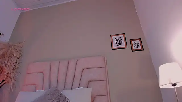 nova_silk webcam