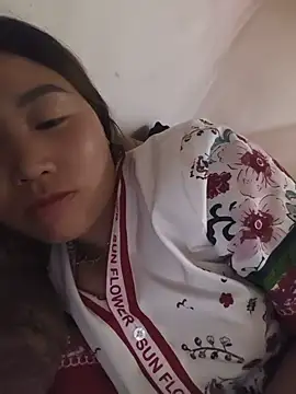 he-se-kin webcam