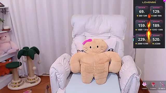 August_cat webcam