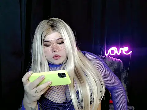 Goddes12inchTS webcam