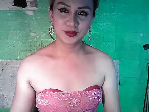 godescock webcam