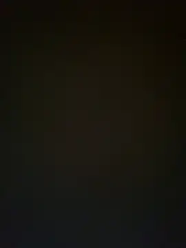 TheDime webcam