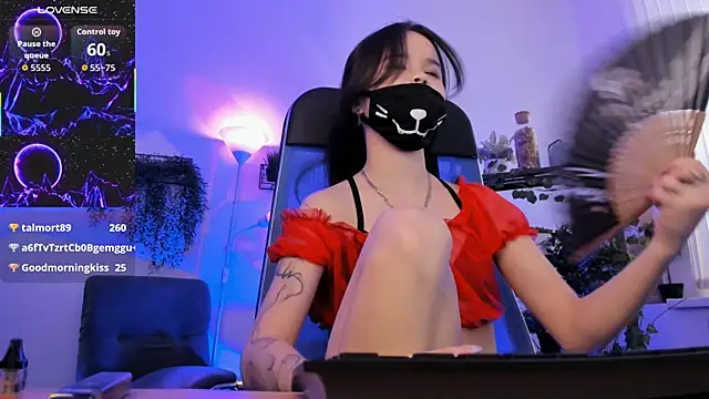 Elainebeness webcam