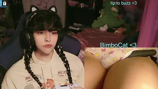 BimboCat webcam