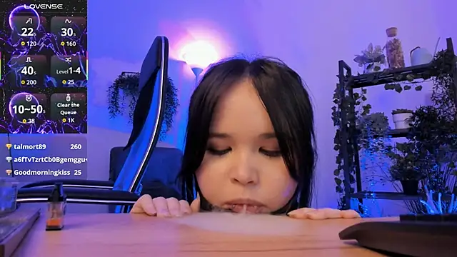 Elainebeness webcam
