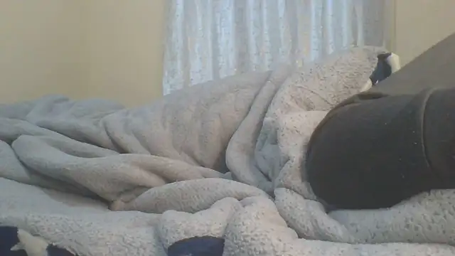 ndivhuwomuleya live cam on StripChat