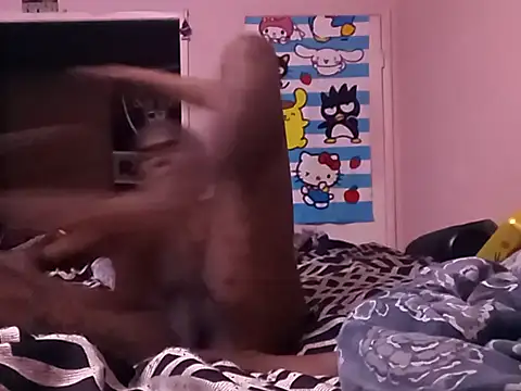 Blkstylion webcam