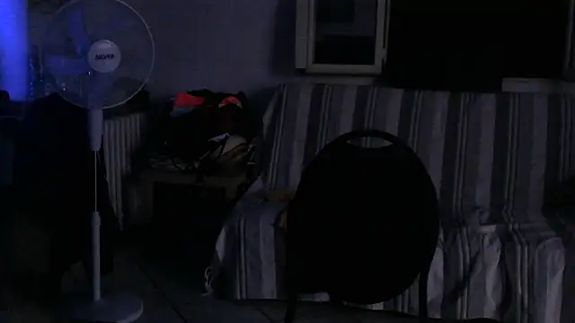alkro63 webcam