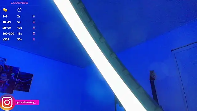 Nicorobinn webcam