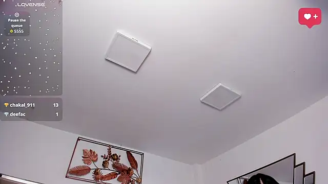 SaraWagner_ webcam
