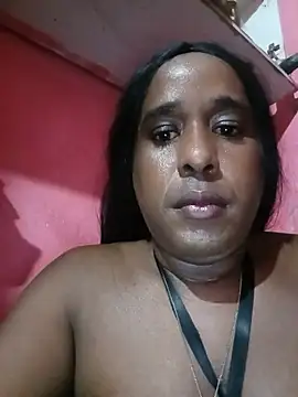 Hellentrans24 webcam