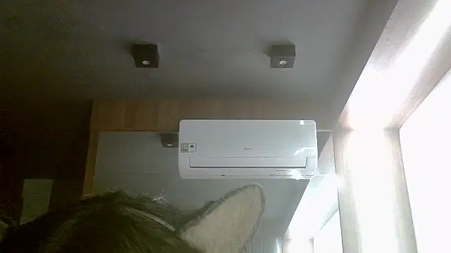 skinnykitten - SkinnyKitten's free webcam - UK Sex Cams