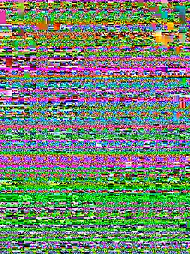 Liith webcam
