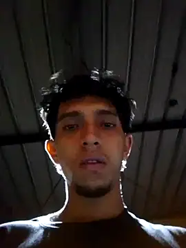 Noscay webcam