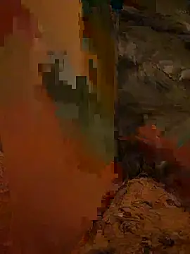 nonsidic webcam