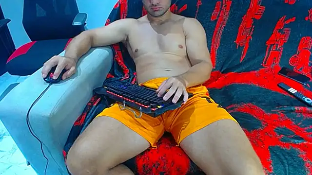hugo_19cm webcam