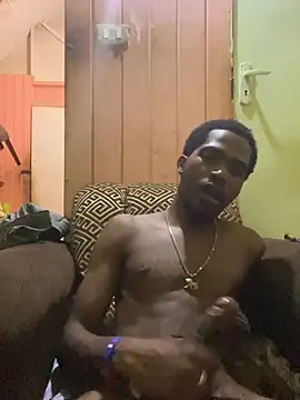 UNCUTKING10inch webcam