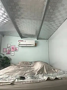 Nana-19 webcam