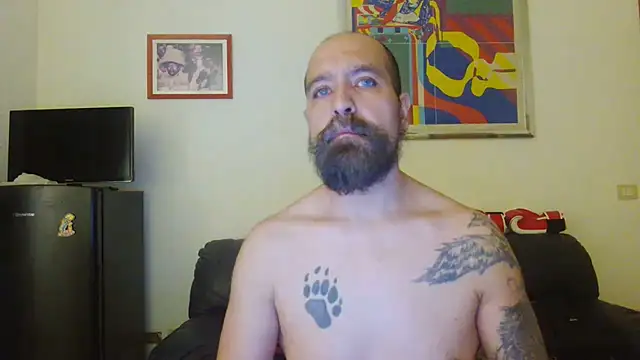 AMIRDIB2025 webcam