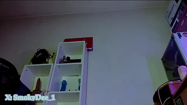 SmokyDee webcam