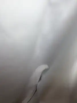 HeavenAylin webcam