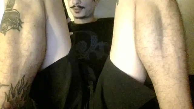 Icepappi webcam